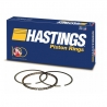 PIERŚCIENIE TŁOKOWE NONINAŁ E1009.00 K HASTINGS (FORD Edge, F-150, Mustang, Transit, LINCOLN Continental, MKS, MKT, MKX, MKZ)