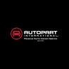 TARCZA HAMULCOWA PRZÓD 63091 API (CHRYSLER Pacifica AWD 2020-2023)