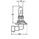 ŻARÓWKA 9006 55W HALOGENOWA REFLEKTORA ŚWIATŁA KRÓTKIE MIJANIA (T-4, HB4)