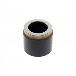 TŁOCZEK ZACISKU TYLNEGO 60014 (CADILLAC SRX, STS)